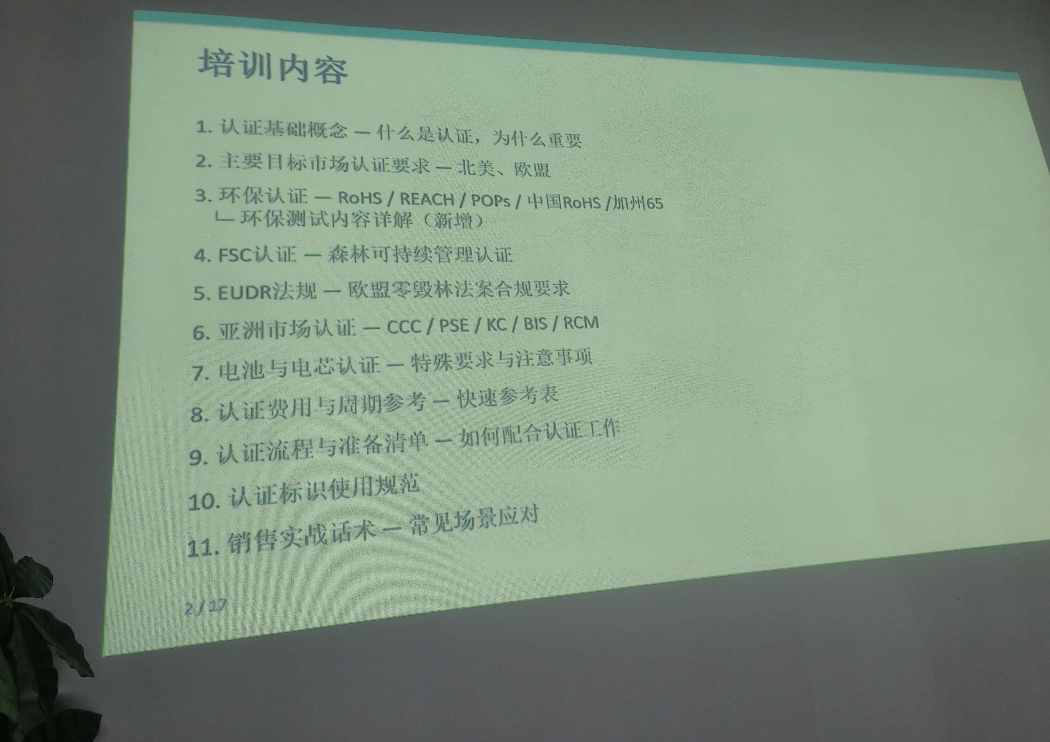 东莞精彩展示新人成长日记